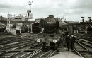 A3 Class 60062 "Minoru" at Kings Cross, May 1963