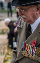 Field of Remembrance, Westminster Abbey