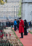 Field of Remembrance, Westminster Abbey