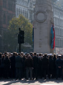 Armistice Day, Whitehall