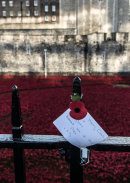 Field of poppies commemorating the centenary of the outbreak of the First World War, Tower of London