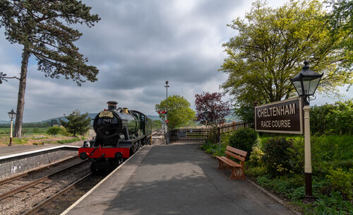 GWR Hall class 4-6-0 No 7903 "Foremarke Hall" at Cheltenham Race Course, Gloucester Warwickshire Railway, 24 April 2025