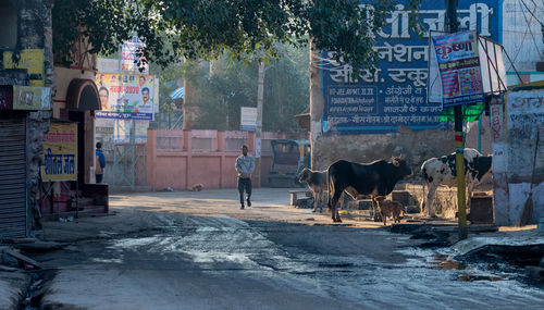 Churu, Rajasthan