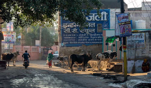 Churu, Rajasthan