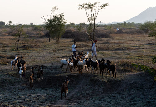 Chanoud, Rajasthan