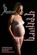 poster created by David for Pregalicious