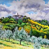 Chiusdino, Tuscany Watercolour 48 x 39cm