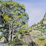Eucalyptus trees in the Rambla Watercolour 38 x 28cm