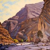 Pick up in Wadi Bani Awf. Oil (NFS)