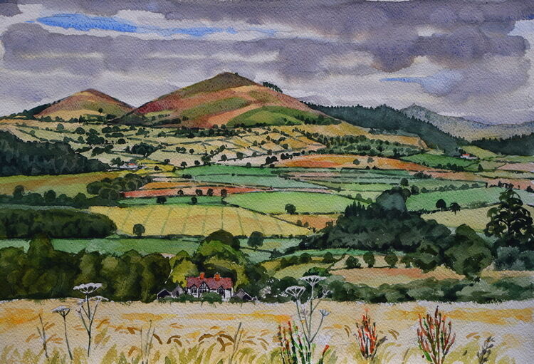 Shropshire Hills near Bishop's Castle  Watercolour  51 x 36cm
