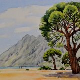 Umbrella Pines on the beach at Olympos, Antalya, Turkey. Watercolour 39 x 30cm