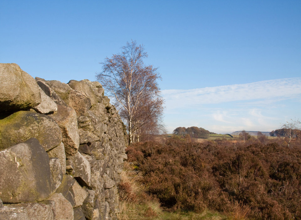 Autumn Moorland