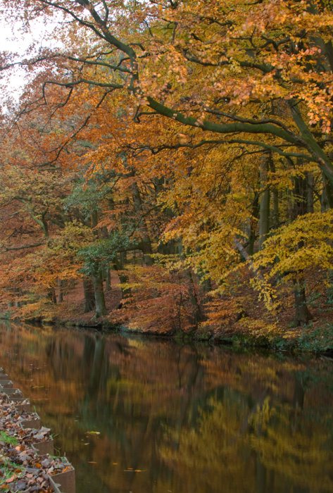 Autumn Reflections