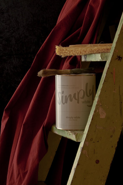 Simply paint products