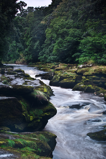 The Strid Bolton Abbey