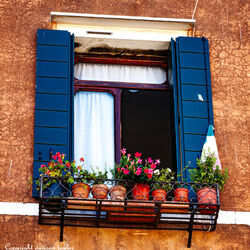 Fresh Air