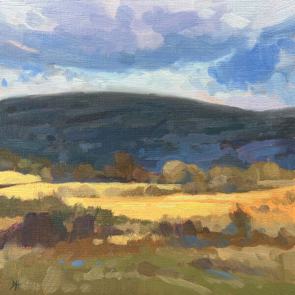 oil painting of Autumn fields in South Wales UK, with a warm orange glow from the winter grasses