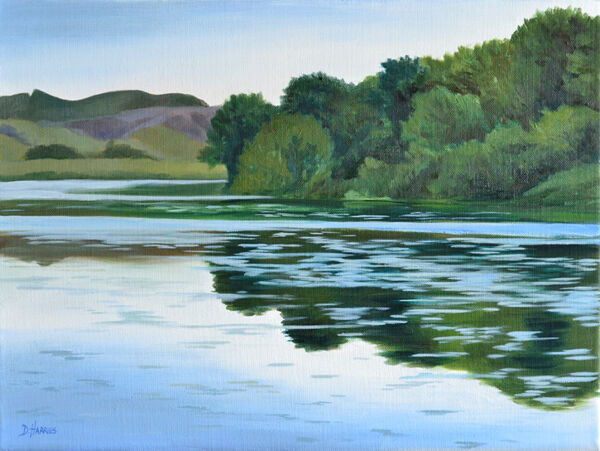 Bosherston Lily Ponds, Pembroke