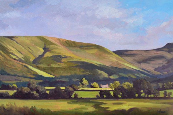 Brecon Hills
