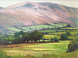 Heather Hills dawn harries, heather hills, brecon, oil painting, landscape painting
