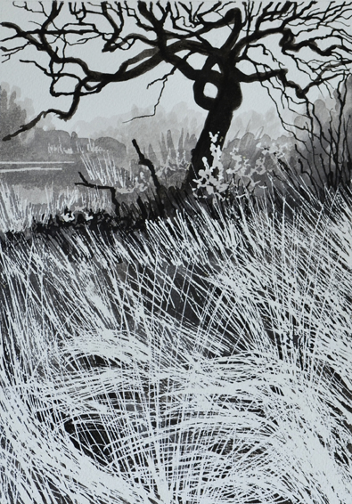 Ink Tree I