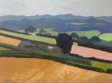 Llawhaden Fields