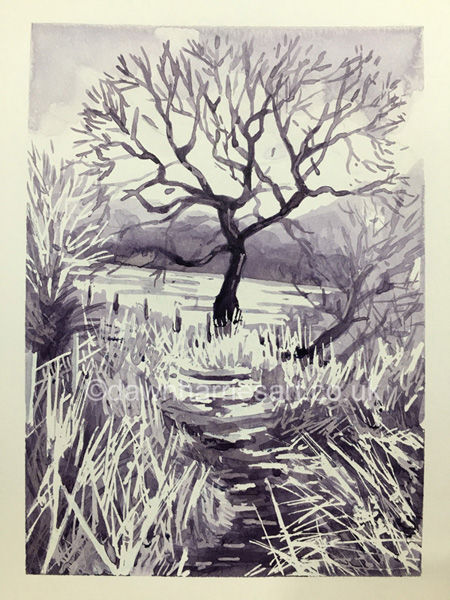 Muddy Path