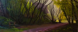 Parc Dowlais, early morning light