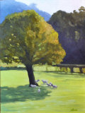 Shaded sheep at Efail Isaf