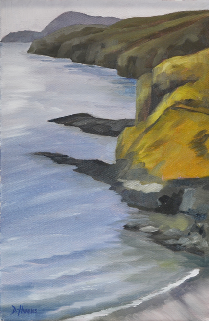 St Davids Coast