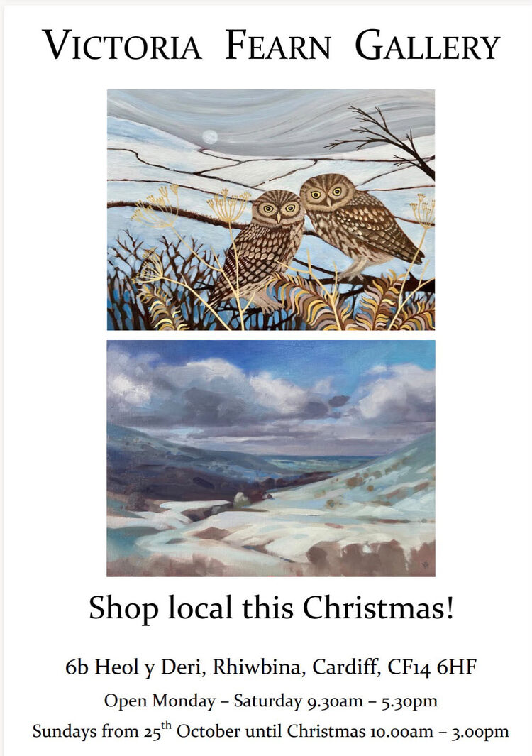 Victoria Fearn Gallery - Winter 2026 Flyer