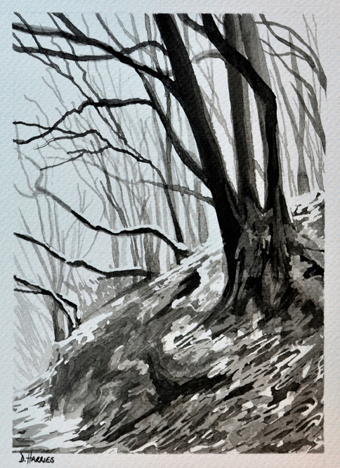 Winter Trees