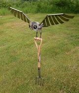 Barn Owl on a Fork