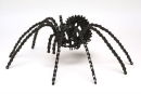 Sprocket Spider