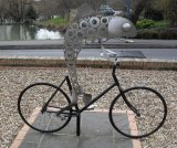 Fish on a Bicycle