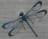 Painted Wall Dragonflies