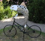 Fish on a Bicycle 2