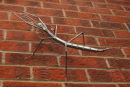 Stick Insect