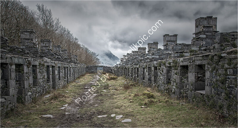 ABANDONED BARRACKS by Gavin Duxbury