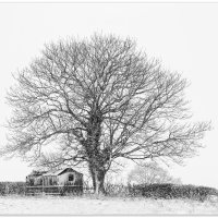ABANDONED By Wayne Churchill