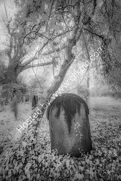 ABANDONED GRAVEYARD by Ashley Franklin