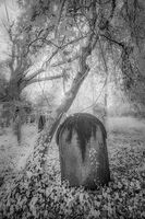 ABANDONED GRAVEYARD by Ashley Franklin