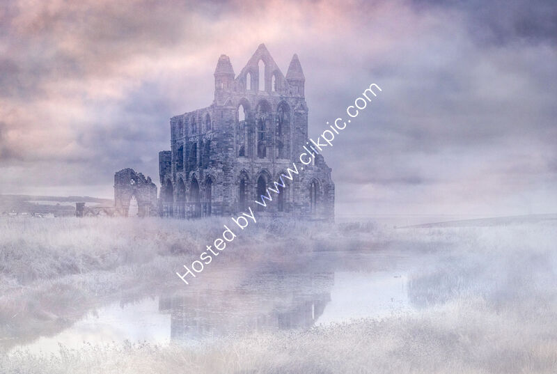 ABBEY IN THE MIST by Christine Maughan