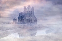 ABBEY IN THE MIST by Christine Maughan