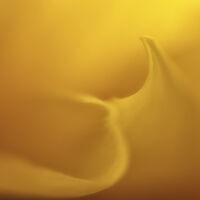 ABSTRACT NO 8 By Wayne Churchill