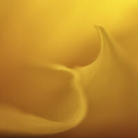 ABSTRACT NO 8 by Wayne Churchill