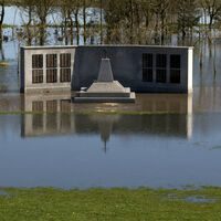 AFTER THE RAIN - NATIONAL ARBORETUM by Malcolm Sargent