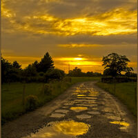 AFTER THE RAIN by Alan Locke