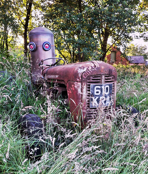 ALIENS ON THE FARM by Leon Winnert