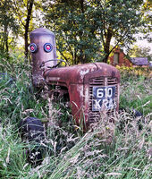 ALIENS ON THE FARM by Leon Winnert